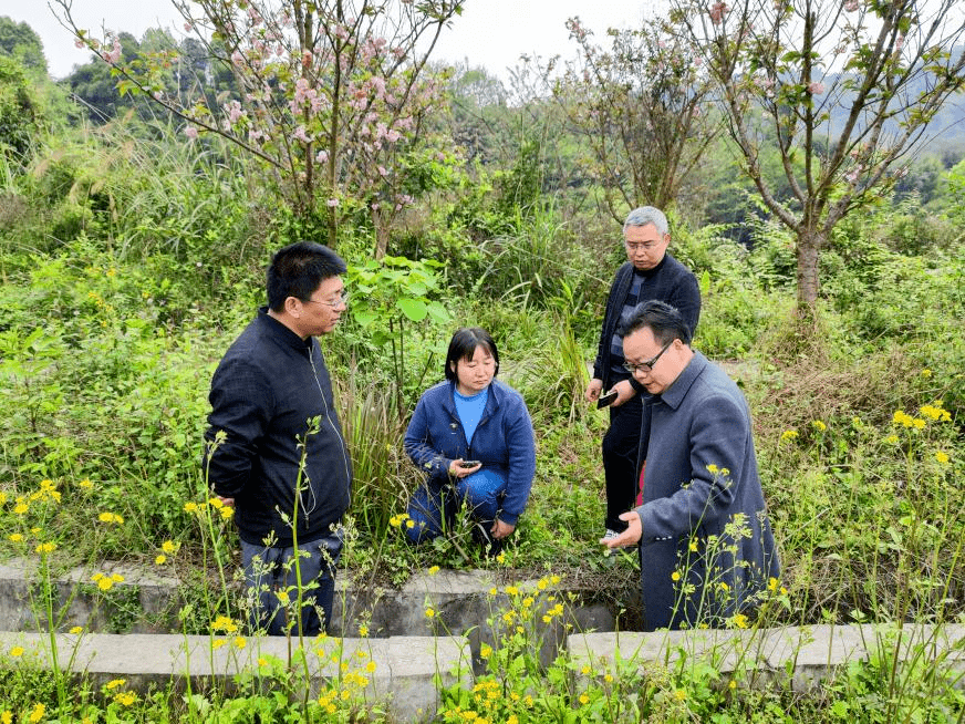 螺环境(从右到左:省疾控寄防所专家吴子松,芦山县疾控中心主任汪世忠