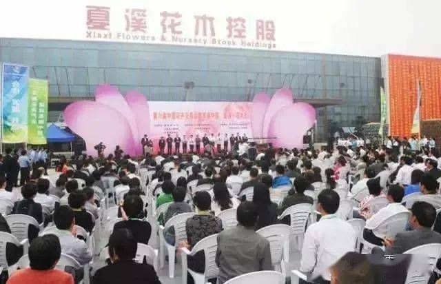 深度分析常州夏溪花木市场