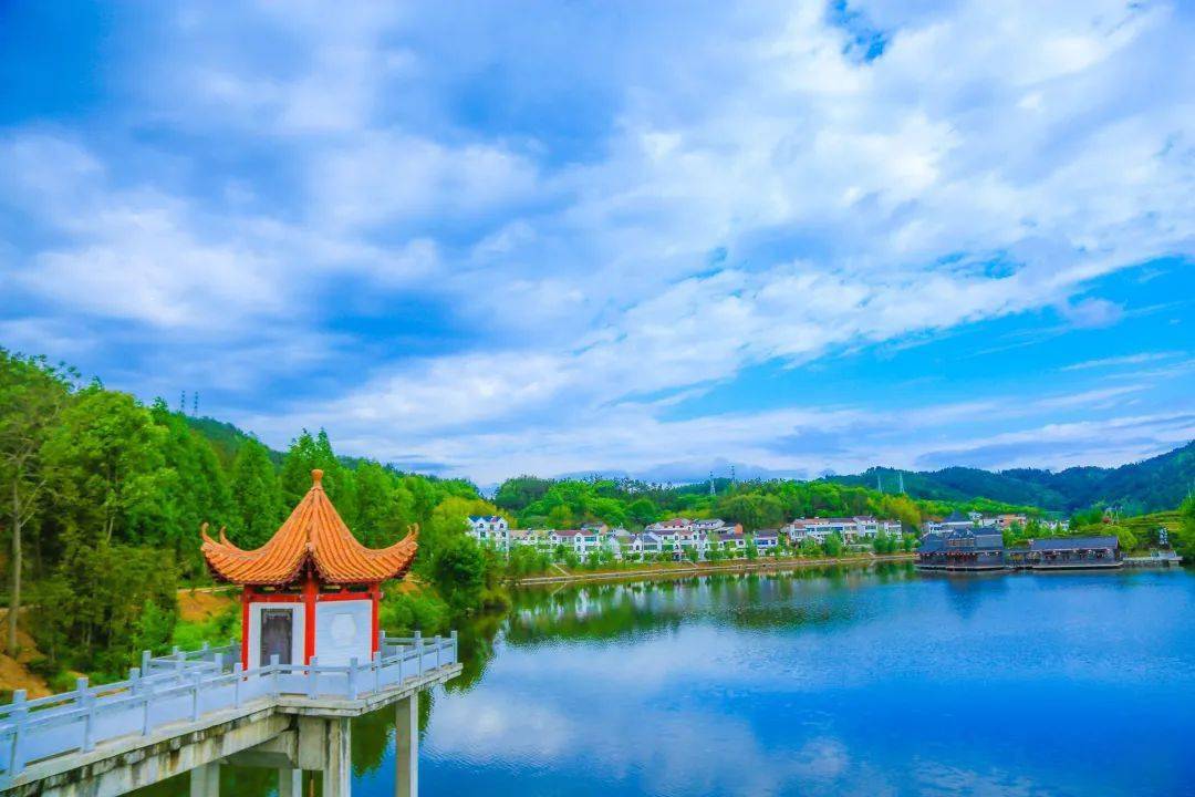 春来茶山千行绿!"云赏"湖北茶旅融合景区,品一杯新茶!