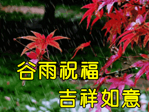 4月20日谷雨最漂亮早上好动态表情图片大全早晨好动图美图大全