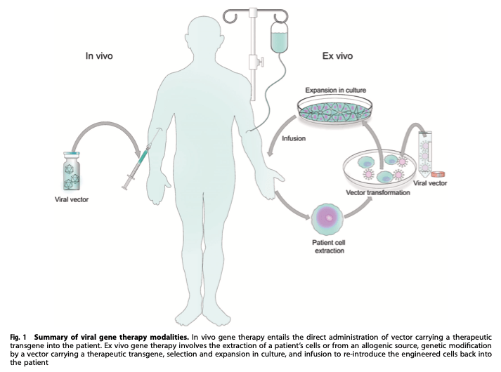 根据给药的方式可以分为:体内基因治疗(in vivo)和体外基因治疗(in