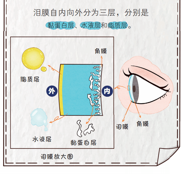 30%的人患有干眼,导致干眼的六大诱因_训练_视觉_泪膜