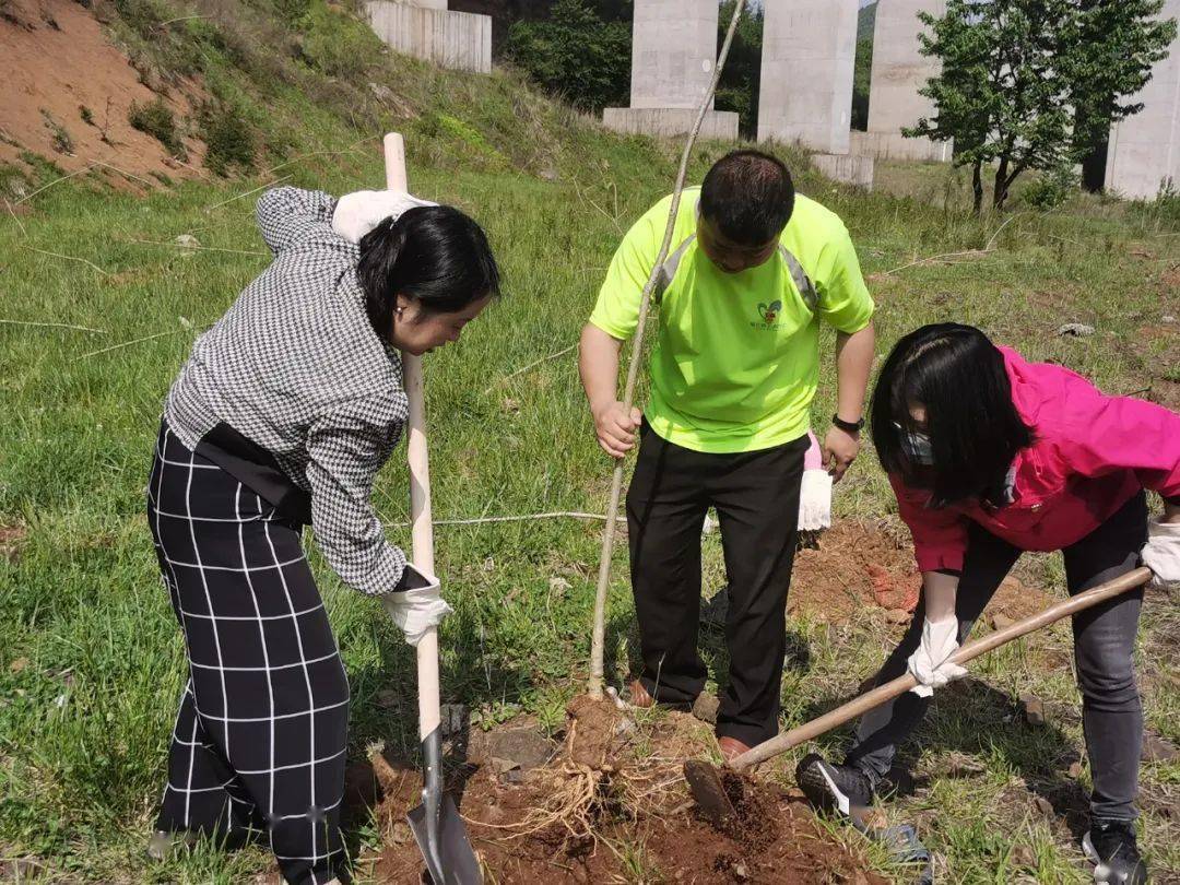 植树造林绿家园市总工会开展凉都工会林义务植树活动