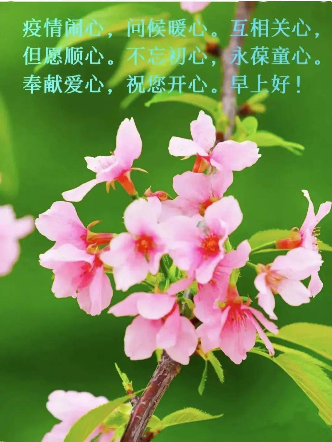 4月30日早上好祝福语图片大全问候动态表情图片大全