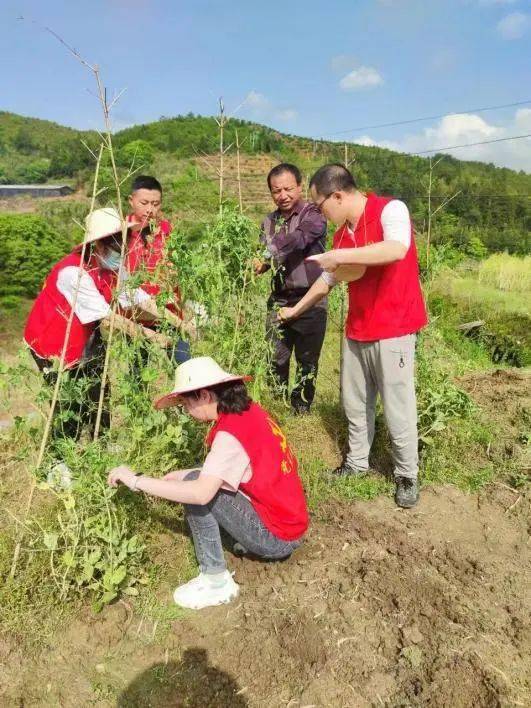 青年干部四下基层实践锻炼青年干部下基层乡村再添新动力