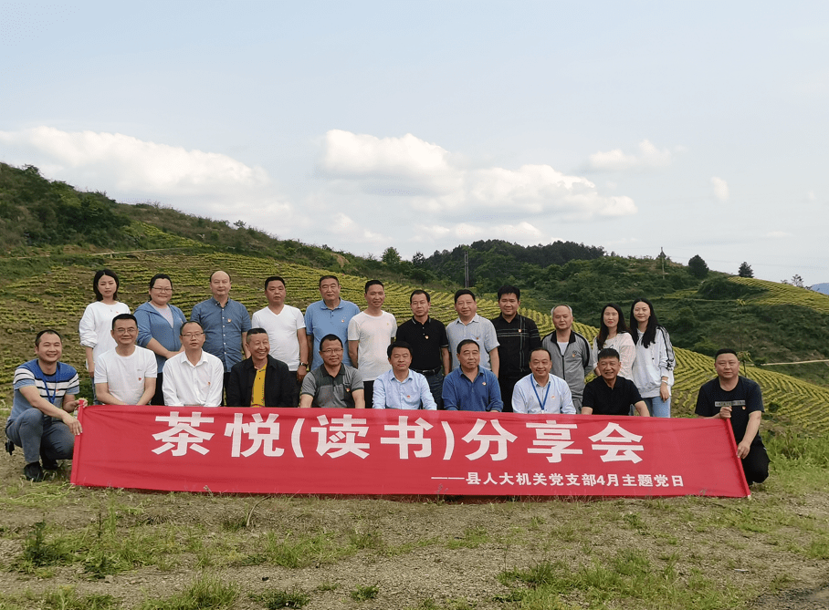 茶种植情况,茶场负责人杨廷金为大家进行黄金茶采摘培训和现场示范