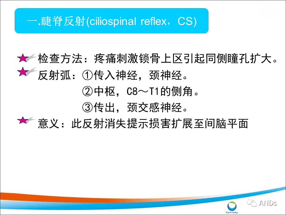 包括角膜反射,腹壁反射和提睾反射等.