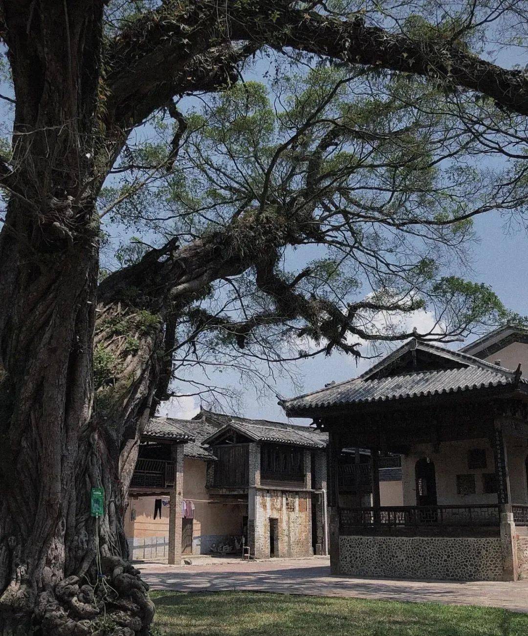 小红书 dalin周前村古时原为周所古墟始建于乾隆辛卯年(1771年)古墟