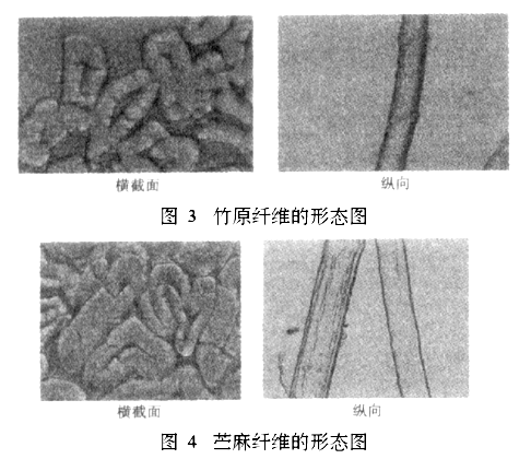 竹原纤维与苎麻纤维的性能比较