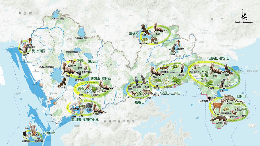 深圳公园城市建设总体规划草案正式公示_自然_保护区_生态