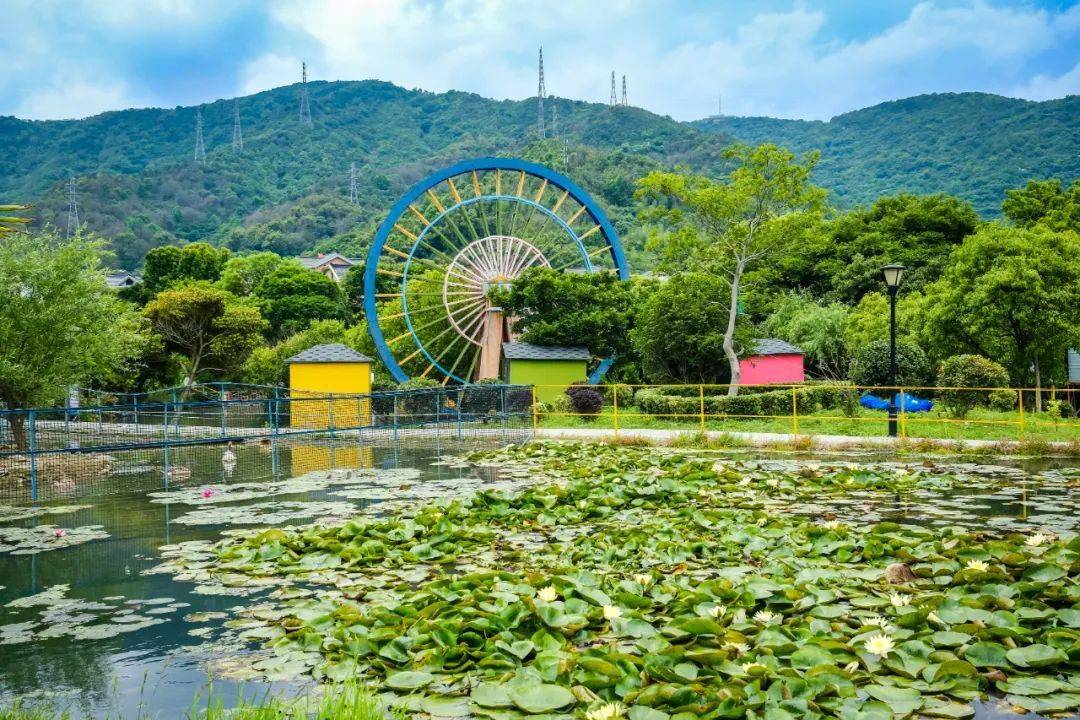 干施岙百鸟园是亲子游玩的网红打卡地.