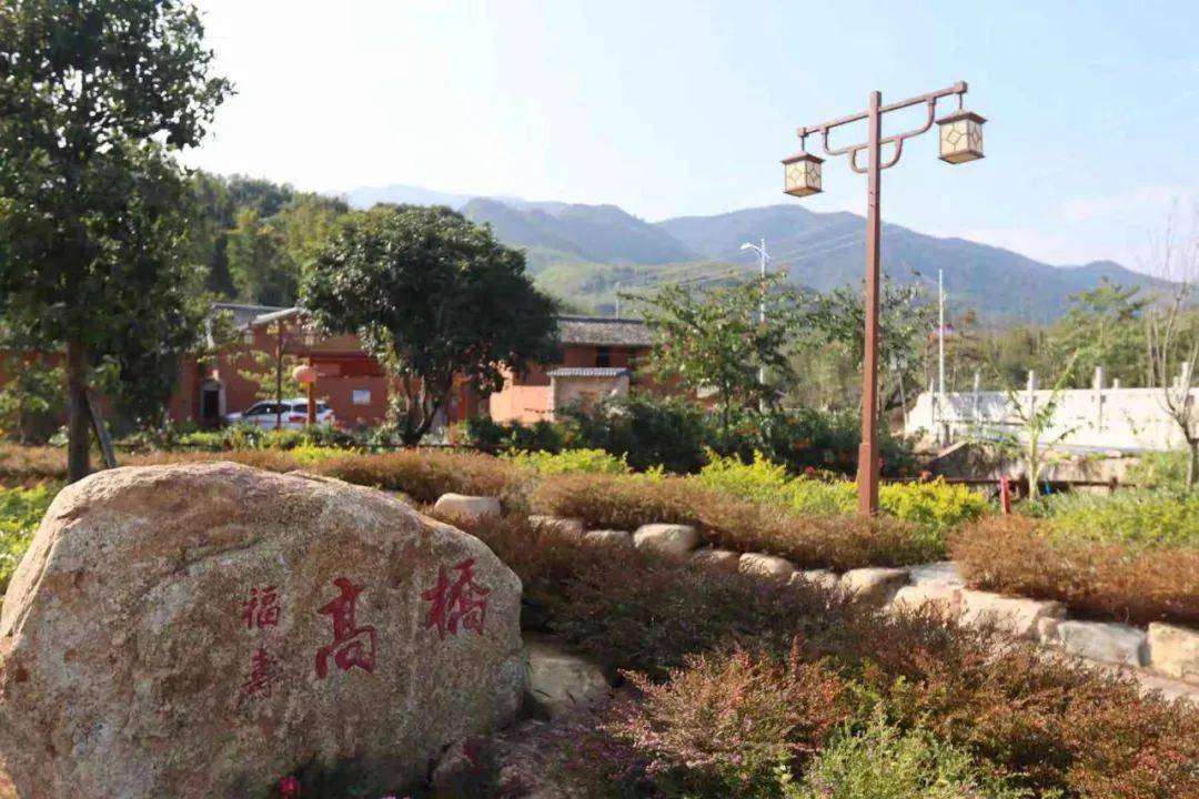 高桥村_乡村_革命