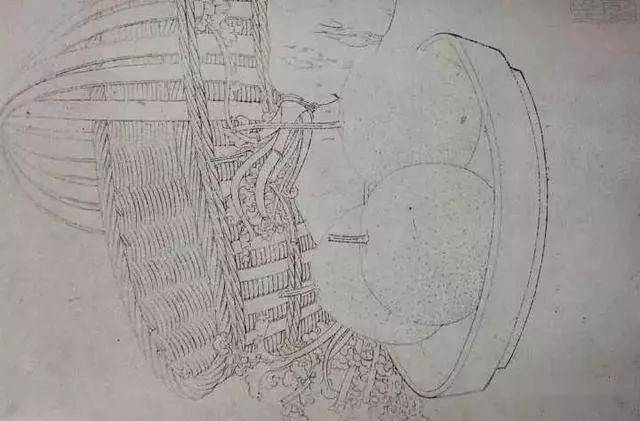 白描花卉图片大全白描技法特点详解