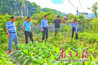 清源断流 雷霆禁毒_毒品_梅州市_全市