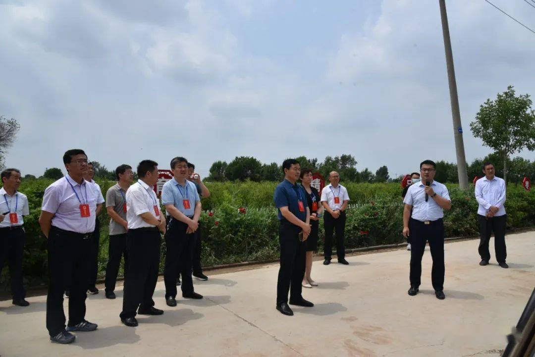 实地查看古城镇魏王冬枣设施栽培示范片区建设现场,下洼镇沾化冬枣