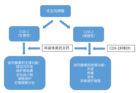 非甾体类抗炎药知多少?_作用_保护_激素