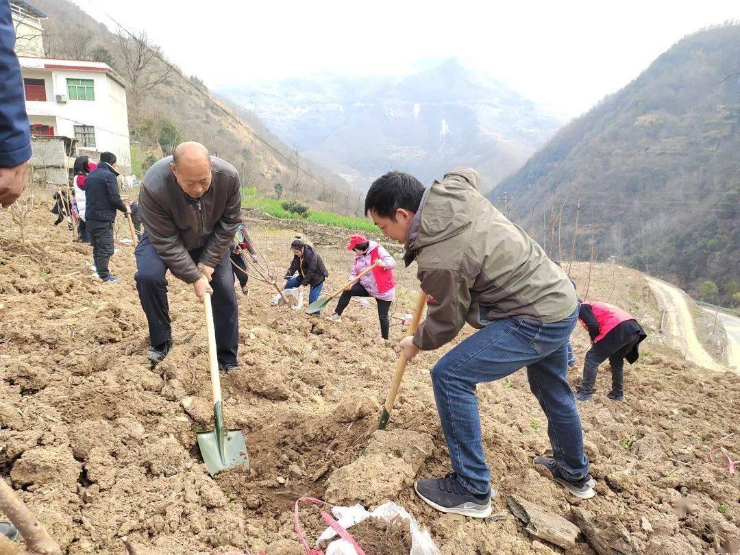 擂台比武旬阳市陈分新初心映照前行路