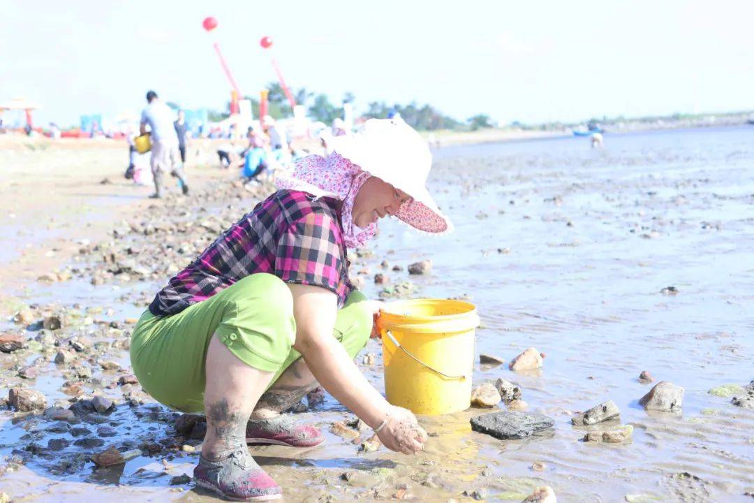 免费赶海!5000张门票,请抢!_大海_泽库镇_潮汐