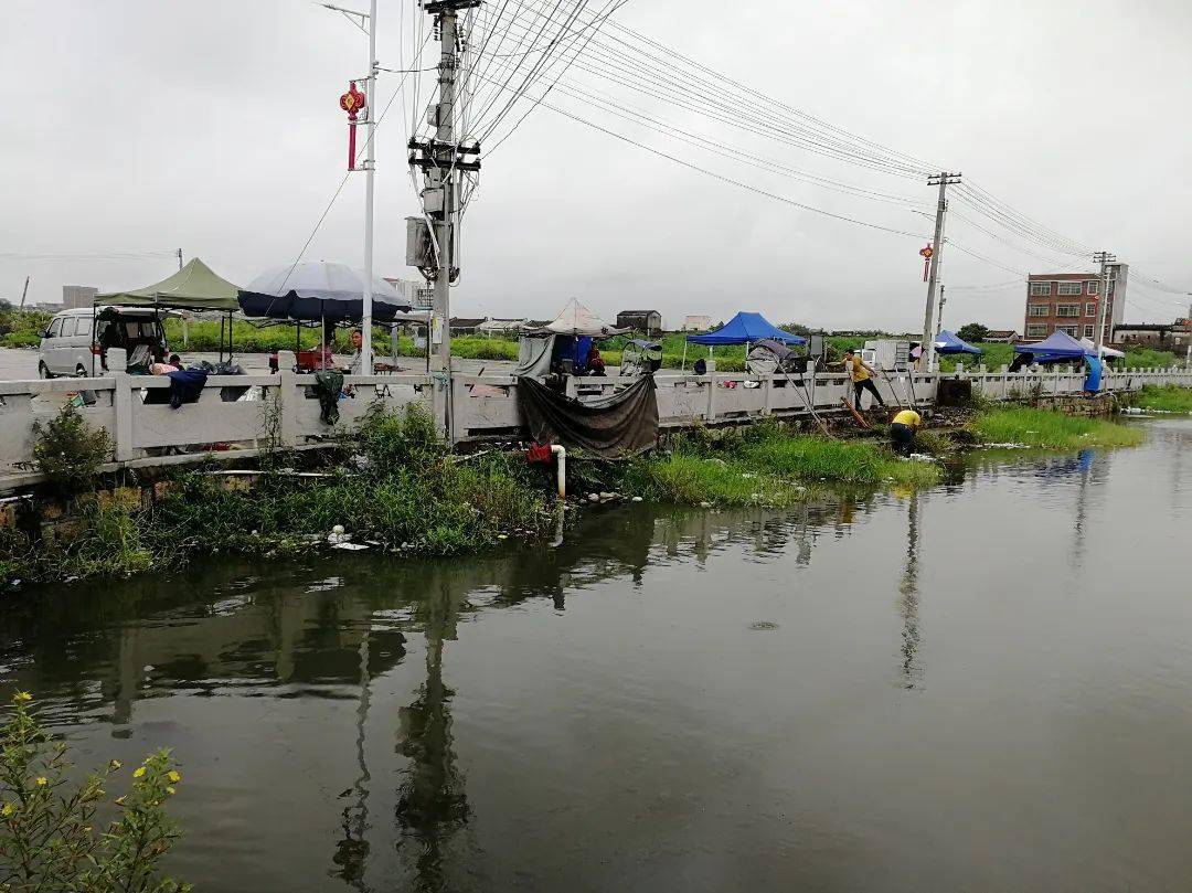 记者来到军埠镇陇头村,发现陇头中学前面的池塘和沟渠水面漂浮着垃圾