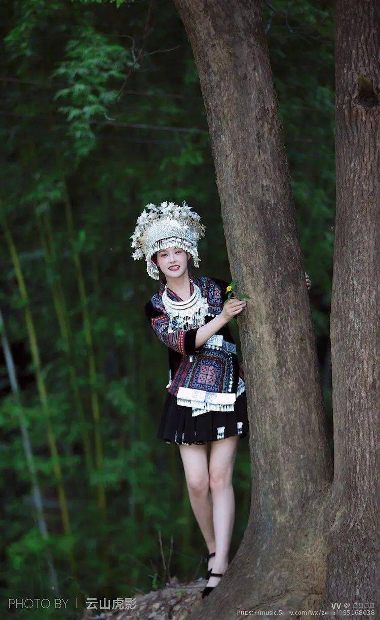 歌曲歌词高山青,涧水蓝阿里山的姑娘美如水呀阿里山的少年壮如山唉