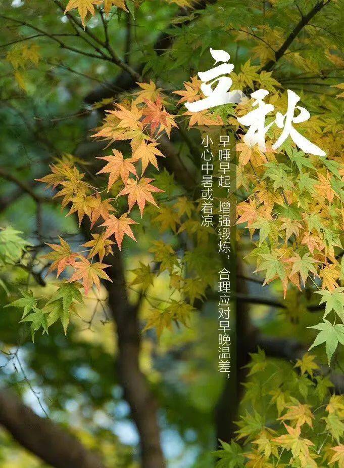 《咏廿四气诗·立秋七月节》唐朝·元稹不期朱夏尽,凉吹暗迎秋.