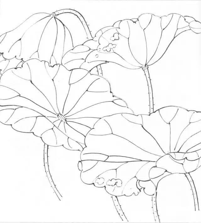 水墨荷花画法,很好的教程,值得收藏!_叶盖_莲蓬_结构