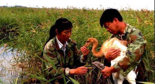 也是通过这首歌,祖国大江南北的人都知道了徐秀娟的英雄事迹.