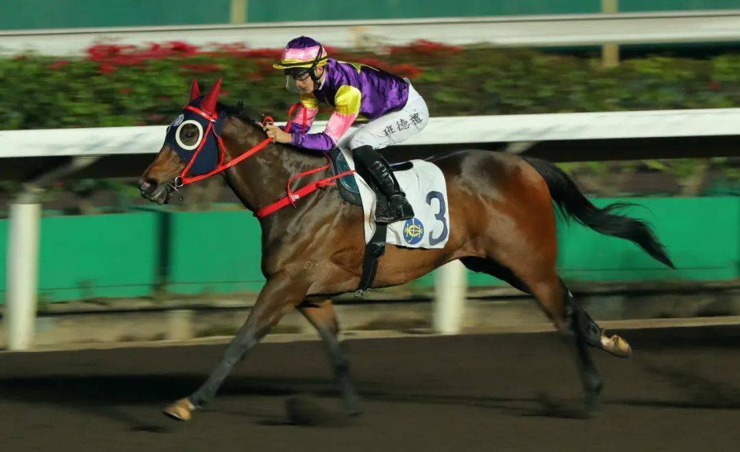 ���̨����ңԶ�ǿա������������֮��