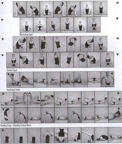 雷竞技RAYBET史上最全 13个经典瑜伽流派体式序列图及简介瑜伽人赶紧收藏！(图7)