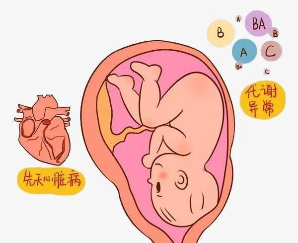 安琪儿孕期"双向围堵方案"!