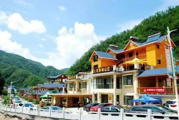 西峡县太平镇东坪村被命名为第二批南阳康养旅游基地
