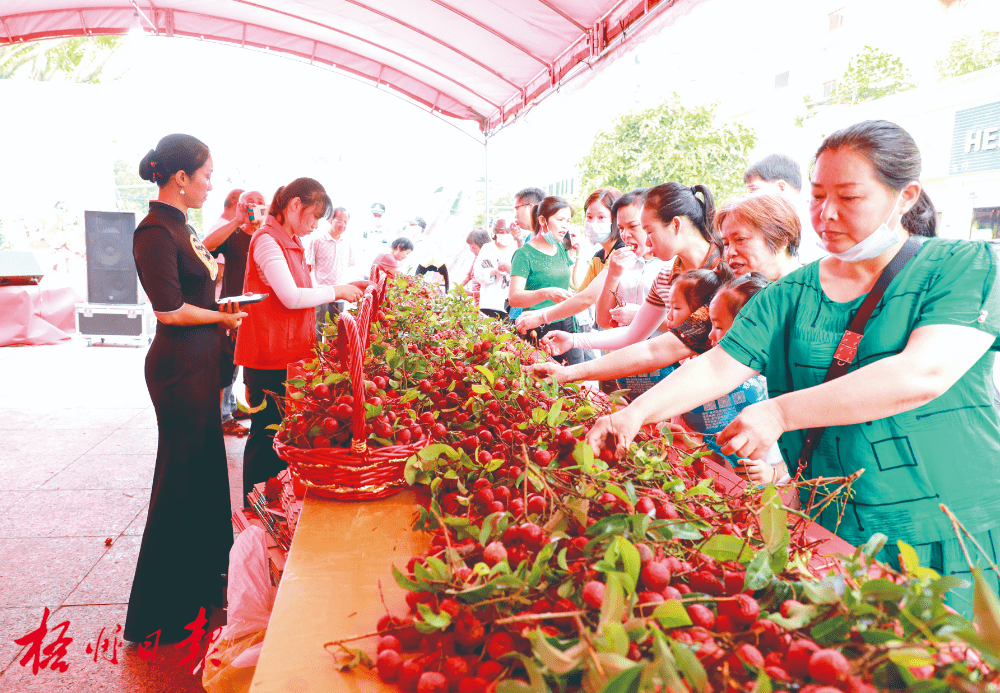 必博体育广西水果冲上热搜！梧州本地水果月历值得收藏(图1)