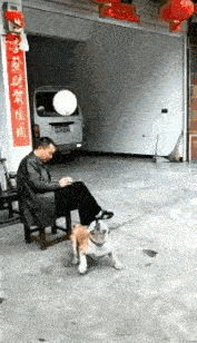 原创
每日一笑:妹子你就别逞能了,这一字马看起来不太标准啊
