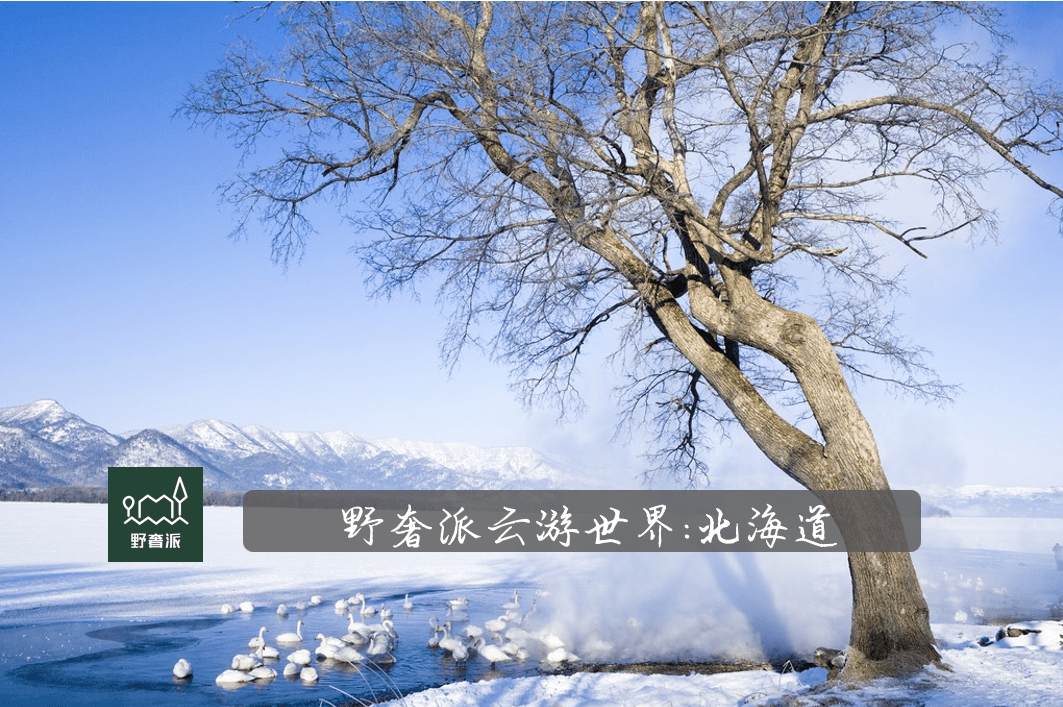 野奢派云游世界 | 雪国回忆：北海道