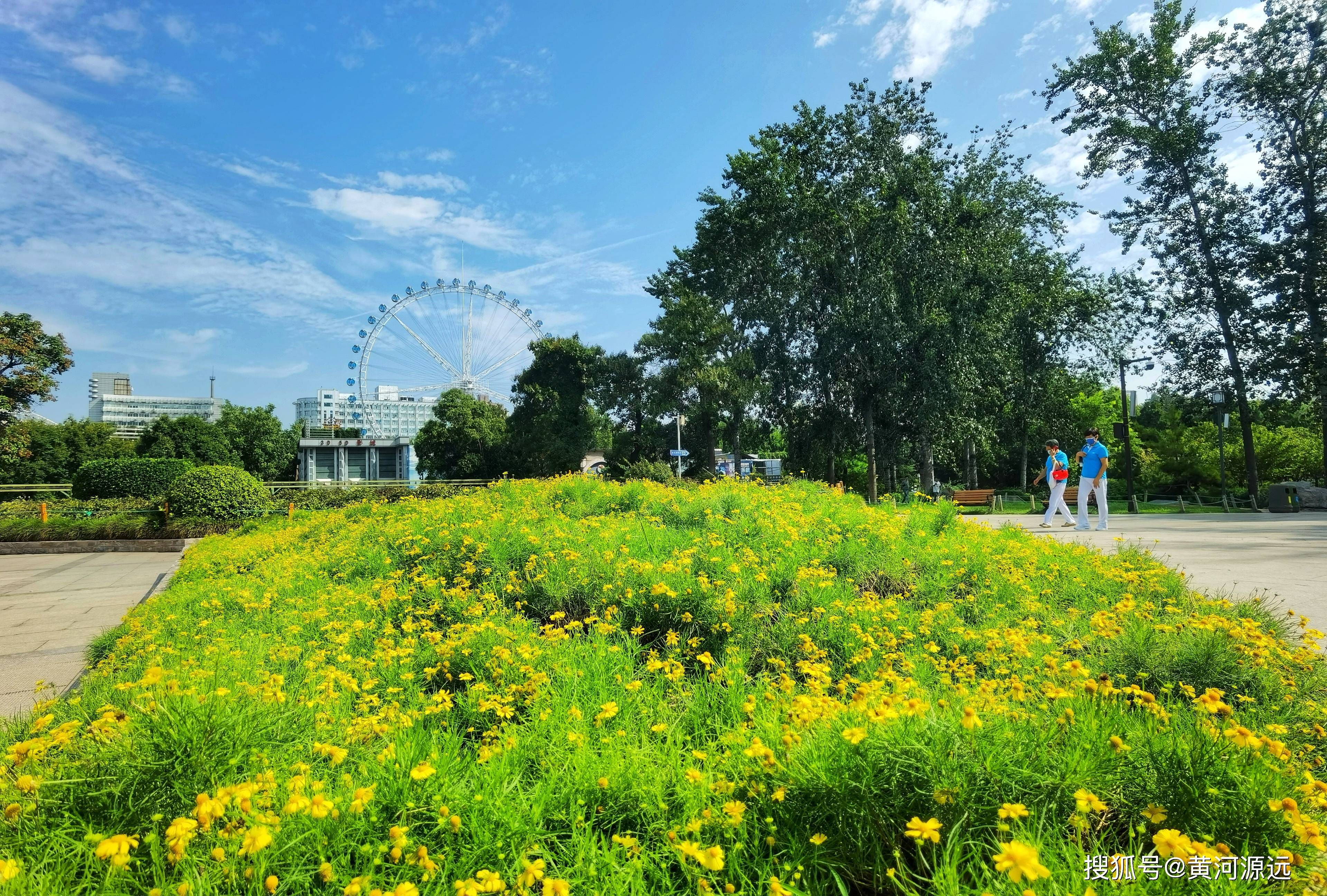 河南这个建国初期兴建的公园，环境绿化真好，游玩舒心见闻多