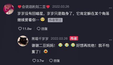 千万网红猫"千千岁"因病去世,二豆妈妈:它只是回喵星了_猫咪_网友