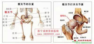 太极拳不会开胯的 终于"有救了"_活动_骨盆_关节