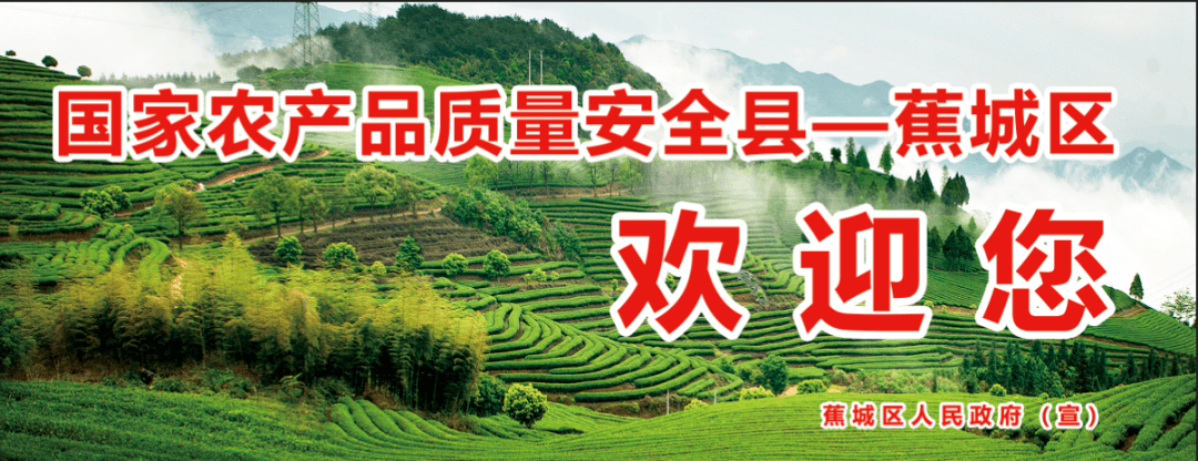 【食品安全宣传周-国家农安县风采展播】蕉城区：共建共享国家农产品质量安全县创建成果