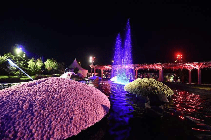 花与水的奏鸣曲——法国米卢斯花博会水秀