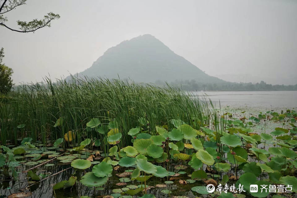 晨起“湖”拍|薄雾中的华山湖，别有一番韵味