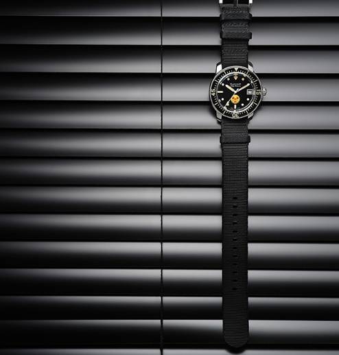 ������ʮ�x��ɫNATO����,��������͸�����