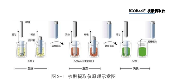 核酸提取仪的产品特点_磁棒_吸附_操作