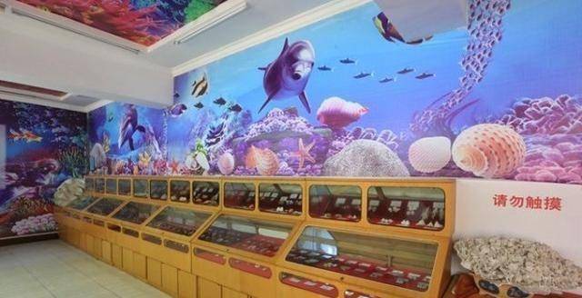秦皇岛也有一座贝壳博物馆，拥有千种贝壳，超适合带孩子来！