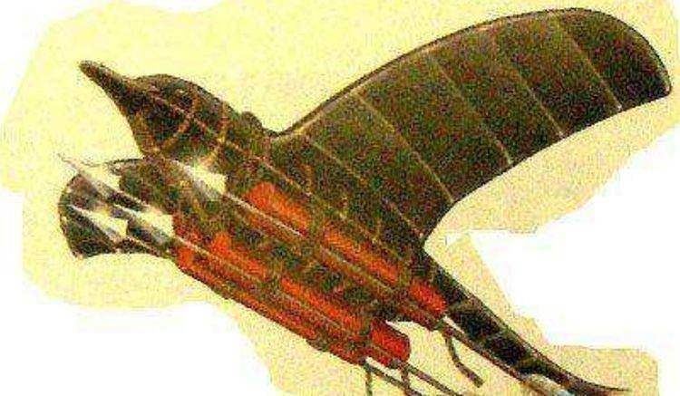 明朝最强悍武器，有古代版无人轰炸机，拥有多项世界第一名头