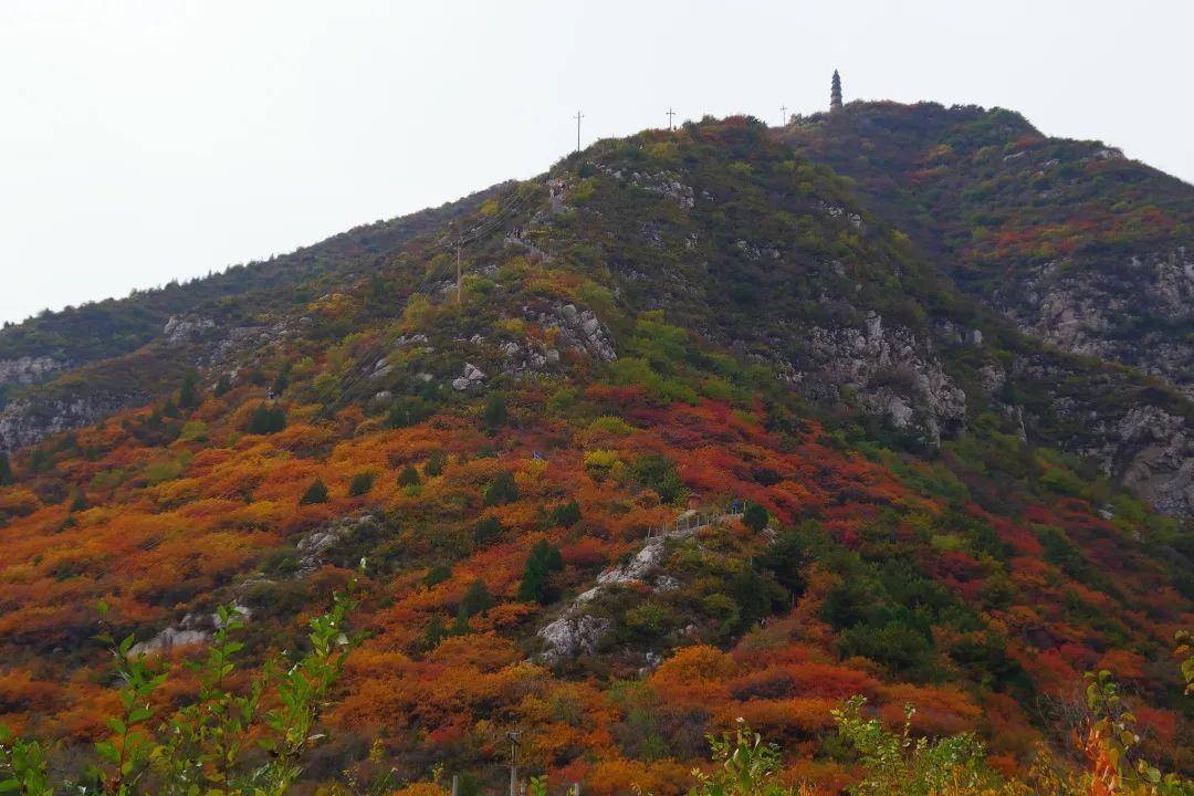 「创森热」赏太原的秋日美景，去这些地方就对了