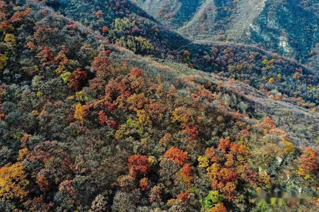 山水崇信：关山墨舞千秋画 奔流弹筝万古琴