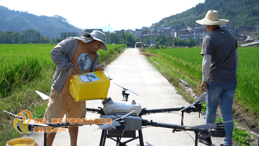 延平区南山镇龙湾村农户 罗积有病虫害方面,我们每年最少要打三到四次