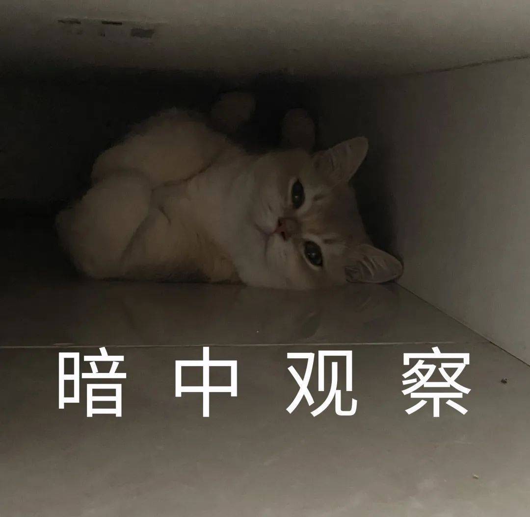 文章配图-2