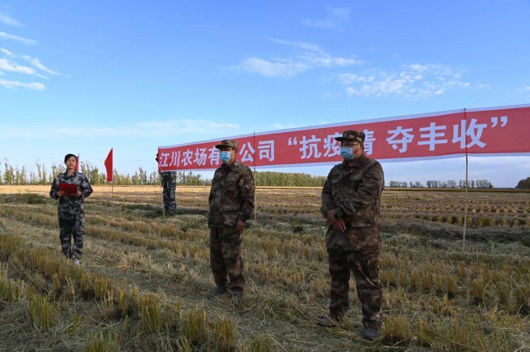 江川农场“流动红旗”助推秋粮夺丰收