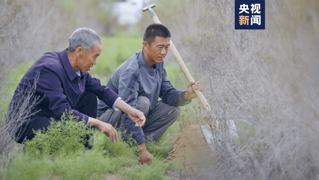 治沙_沙漠_郭玺